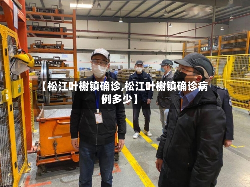 【松江叶榭镇确诊,松江叶榭镇确诊病例多少】