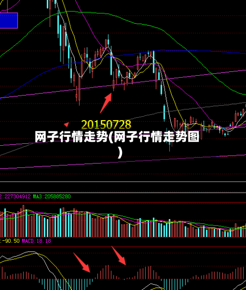 网子行情走势(网子行情走势图)