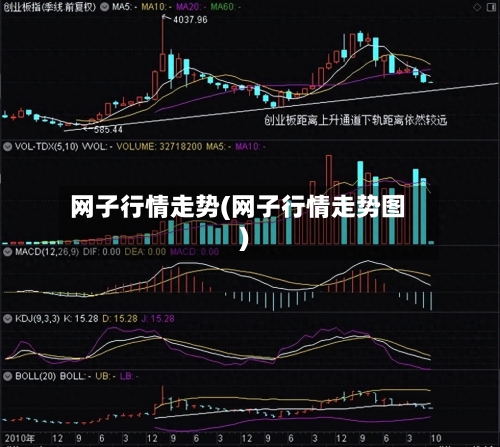 网子行情走势(网子行情走势图)