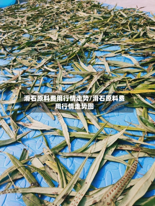 滑石原料费用行情走势/滑石原料费用行情走势图