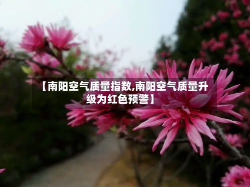 【南阳空气质量指数,南阳空气质量升级为红色预警】