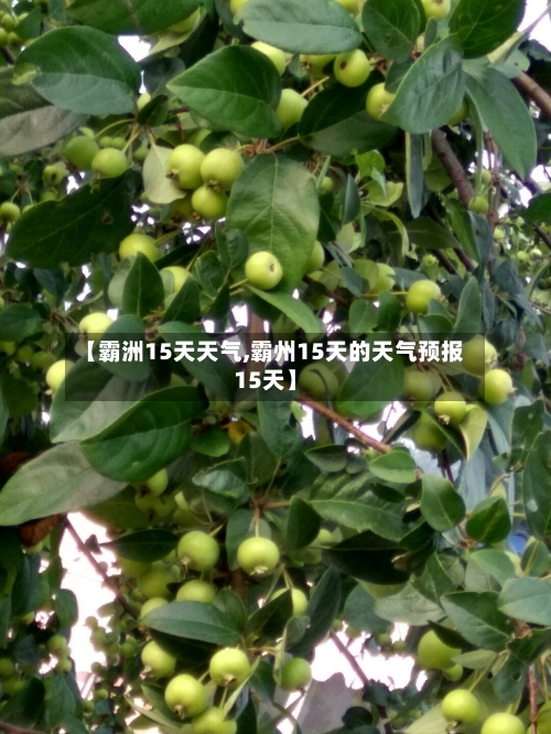 【霸洲15天天气,霸州15天的天气预报15天】