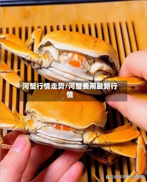 河蟹行情走势/河蟹费用最新行情
