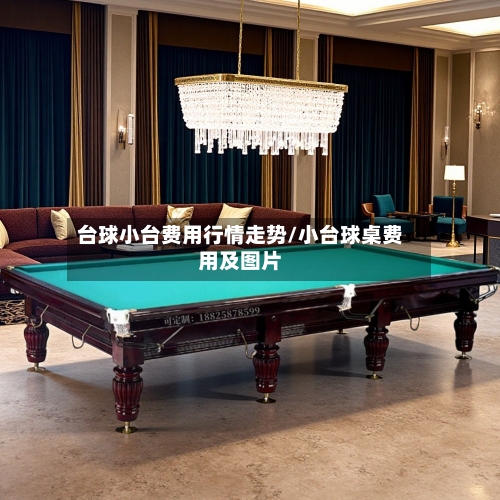 台球小台费用行情走势/小台球桌费用及图片