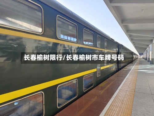 长春榆树限行/长春榆树市车牌号码