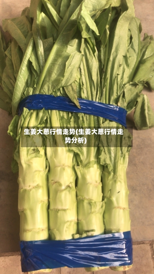 生姜大葱行情走势(生姜大葱行情走势分析)