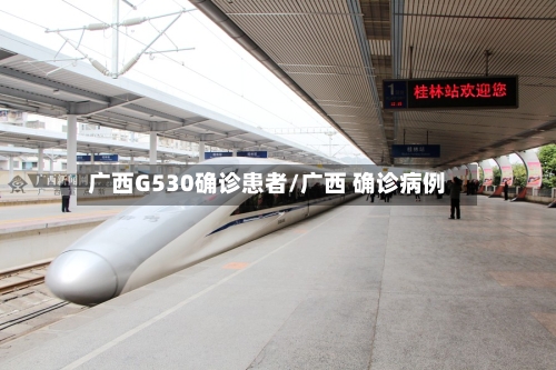 广西G530确诊患者/广西 确诊病例