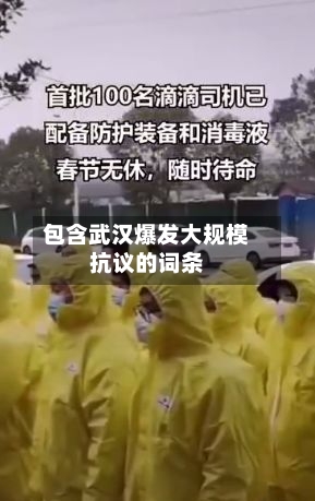 包含武汉爆发大规模抗议的词条