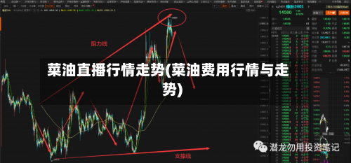 菜油直播行情走势(菜油费用行情与走势)