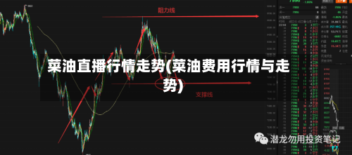 菜油直播行情走势(菜油费用行情与走势)