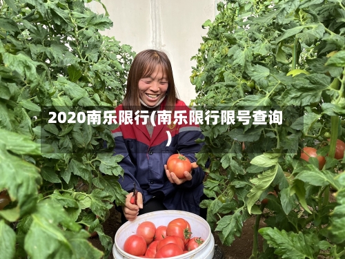 2020南乐限行(南乐限行限号查询)