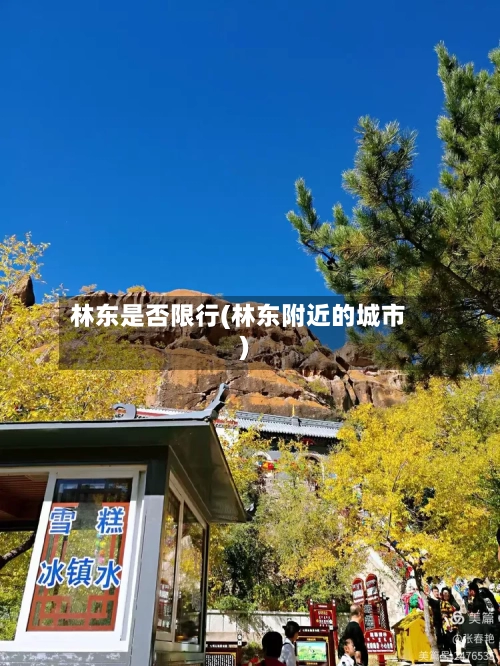 林东是否限行(林东附近的城市)