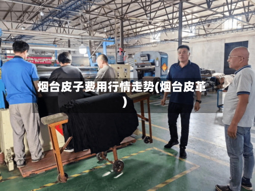 烟台皮子费用行情走势(烟台皮革)