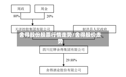 舍得股份股票行情走势/舍得股价走势