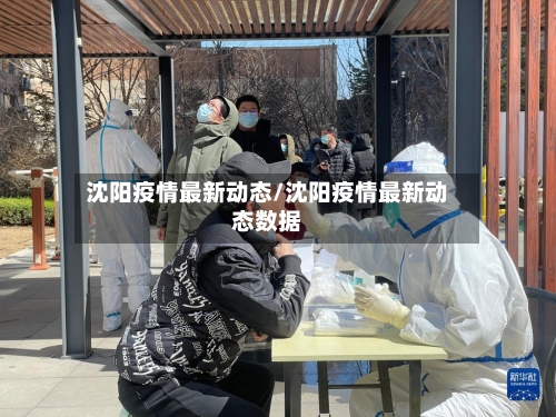 沈阳疫情最新动态/沈阳疫情最新动态数据