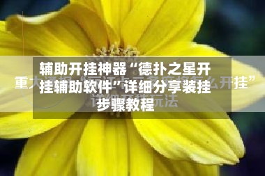 辅助开挂神器“德扑之星开挂辅助软件”详细分享装挂步骤教程