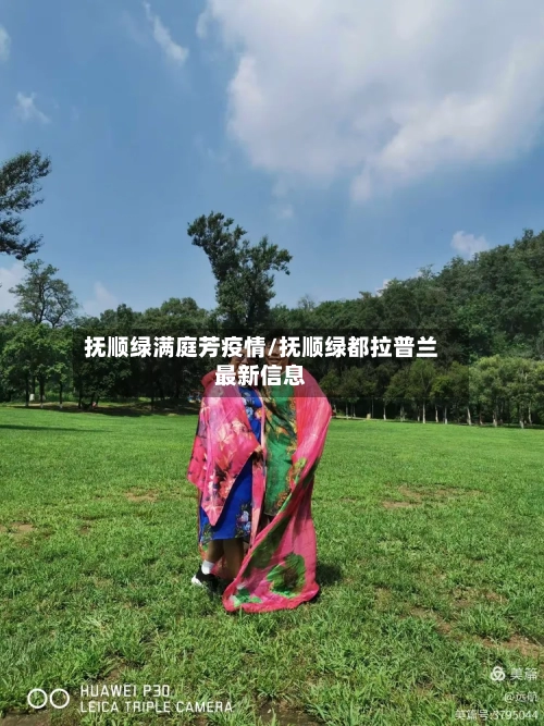 抚顺绿满庭芳疫情/抚顺绿都拉普兰最新信息