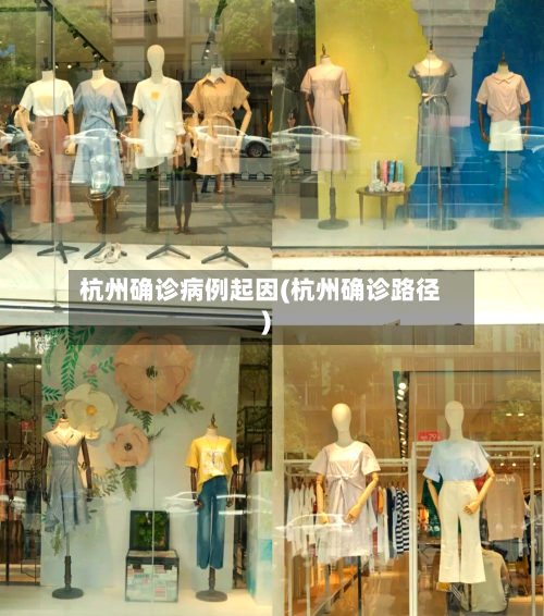 杭州确诊病例起因(杭州确诊路径)