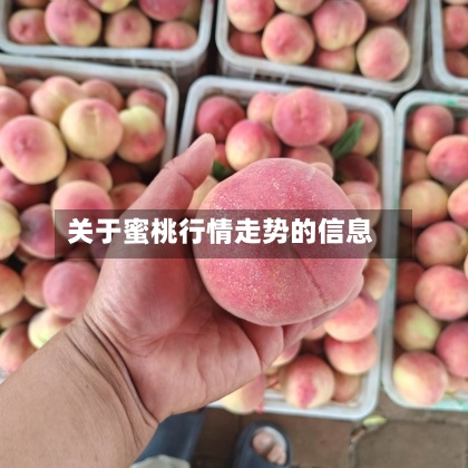 关于蜜桃行情走势的信息