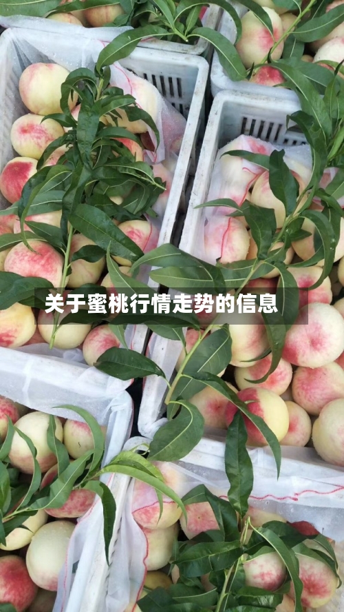 关于蜜桃行情走势的信息
