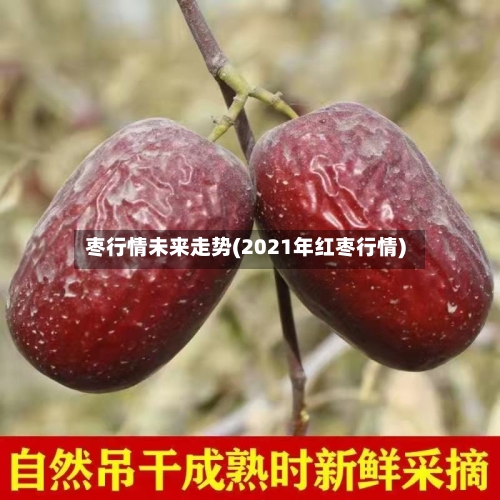 枣行情未来走势(2021年红枣行情)
