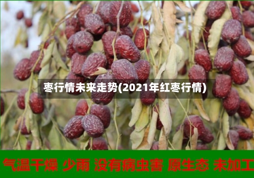 枣行情未来走势(2021年红枣行情)