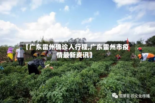 【广东雷州确诊人行程,广东雷州市疫情最新资讯】