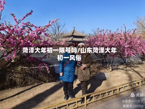 菏泽大年初一限号吗/山东菏泽大年初一风俗