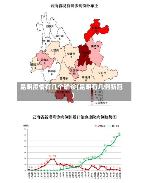 昆明疫情有几个确诊(昆明有几例新冠)