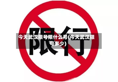 今天武汉限号限什么号(今天武汉限号多少)