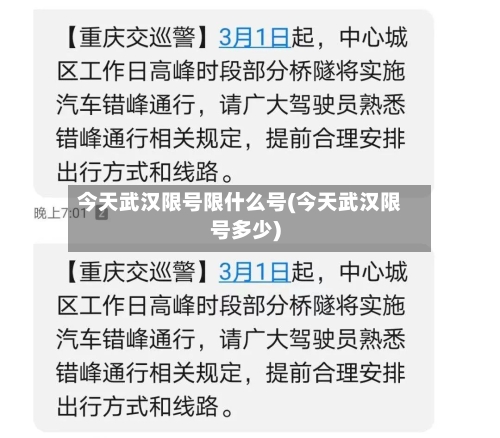 今天武汉限号限什么号(今天武汉限号多少)