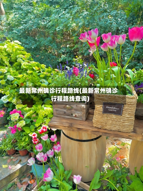 最新常州确诊行程路线(最新常州确诊行程路线查询)
