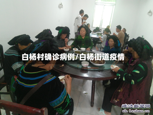 白杨村确诊病例/白杨街道疫情