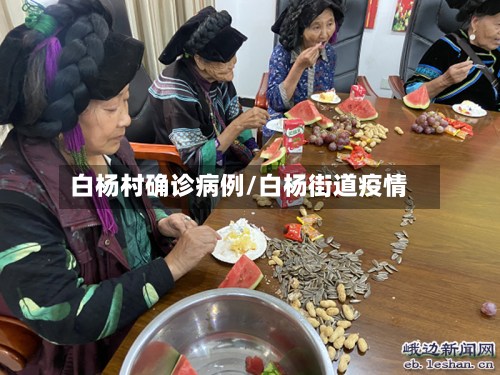 白杨村确诊病例/白杨街道疫情