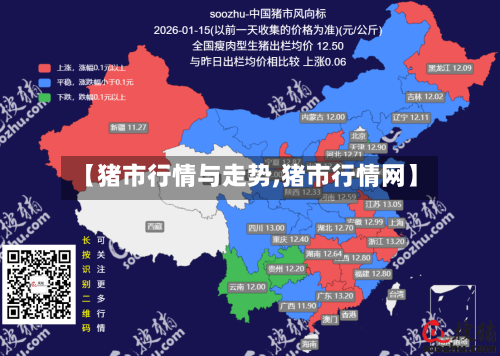 【猪市行情与走势,猪市行情网】