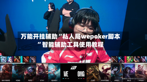 万能开挂辅助“私人局wepoker脚本”智能辅助工具使用教程