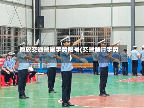 播放交通警察手势限号(交警禁行手势)