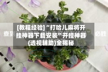[教程经验]“打哈儿麻将开挂神器下载安装”开挂神器{透视辅助}全揭秘