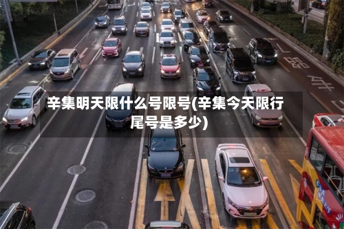 辛集明天限什么号限号(辛集今天限行尾号是多少)