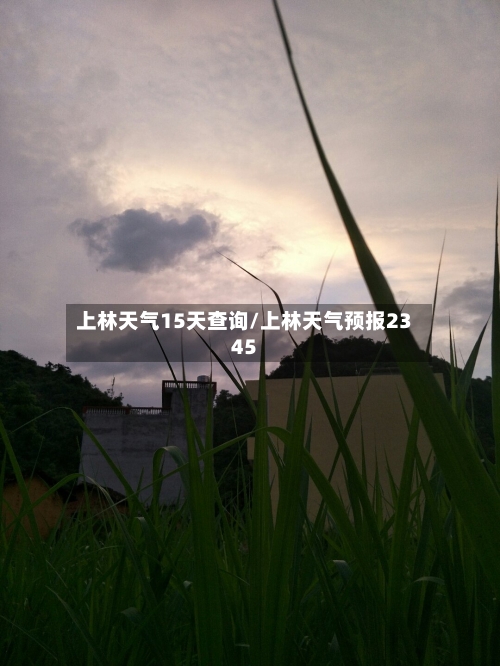 上林天气15天查询/上林天气预报2345