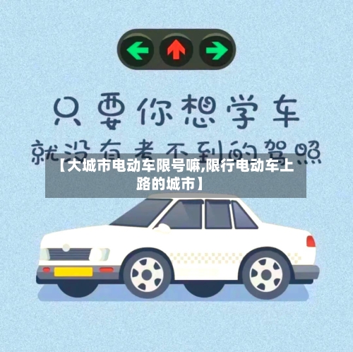 【大城市电动车限号嘛,限行电动车上路的城市】