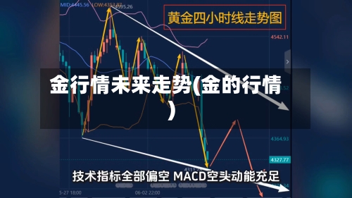 金行情未来走势(金的行情)