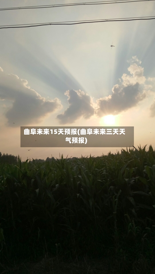 曲阜未来15天预报(曲阜未来三天天气预报)