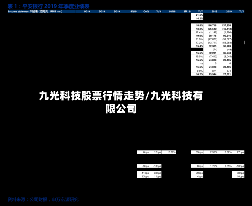 九光科技股票行情走势/九光科技有限公司