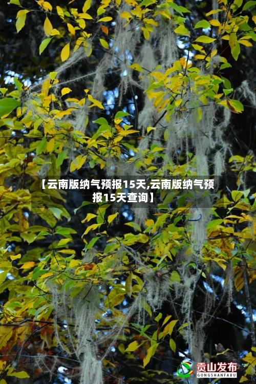 【云南版纳气预报15天,云南版纳气预报15天查询】