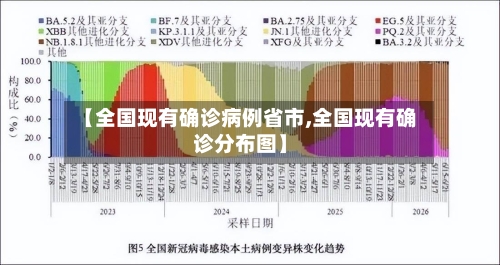 【全国现有确诊病例省市,全国现有确诊分布图】