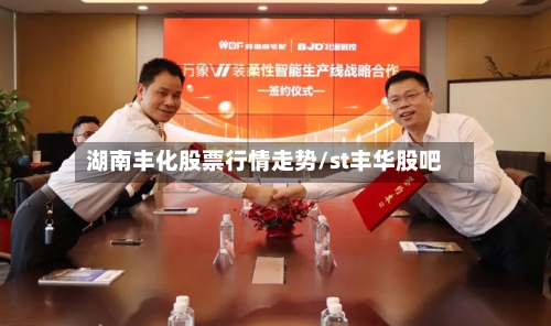 湖南丰化股票行情走势/st丰华股吧