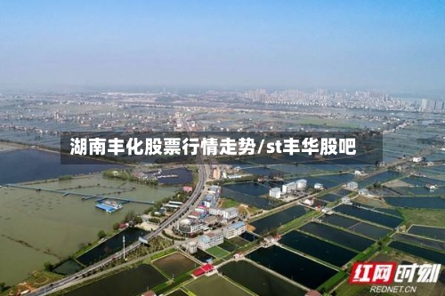 湖南丰化股票行情走势/st丰华股吧