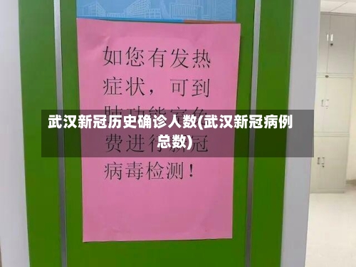 武汉新冠历史确诊人数(武汉新冠病例总数)