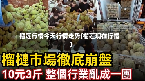 榴莲行情今天行情走势(榴莲现在行情)
